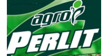 Perlit