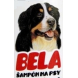 Tatrachema Bela