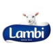 Lambi