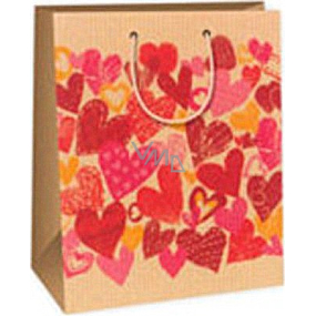 Ditipo Dárková papírová taška 26,4 x 13,7 x 32,4 cm béžová srdíčka