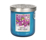 Heart & Home Něžné pohlazení Sojová vonná svíčka střední hoří až 30 hodin 110 g