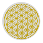 Masaru Emoto Delicate karafa Gold Květ života 0,5 l Pro revitalizaci a oživení oslabené vody z vodovodu