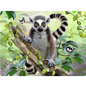 Prime3D pohlednice - Lemur 16 x 12 cm