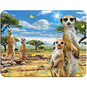 Prime3D magnet - Surikaty 9 x 7 cm
