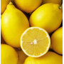 Village Candle Rebarborová citronáda - Rhubarb Lemonade vonná svíčka ve skle 2 knoty 602 g