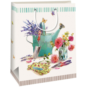 Ditipo Dárková kraftová taška 22 x 10 x 29 cm bílá, zelená konvička
