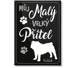 Nekupto Mazlíčci magnet Buldok 66 x 90 x 2 mm
