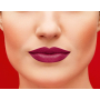 Bourjois Rouge Fabuleux rtěnka 14 Clair de Plum 2,4 g