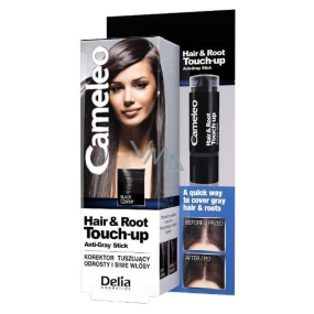 Delia Cosmetics Cameleo Hair & Root Korektor zakrývá kořeny a šedé vlasy Black 4,6g