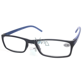Berkeley Čtecí dioptrické brýle +1,0 plast černé modré stranice 1 kus MC2 ER4045