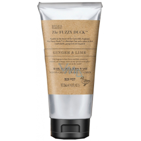 Baylis & Harding Men Zázvor a Limetka 2v1 mycí gel na vlasy a tělo pro muže 250 ml