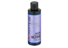 Professional Hair Care Destivii Silver šampon na blond vlasy 200 ml