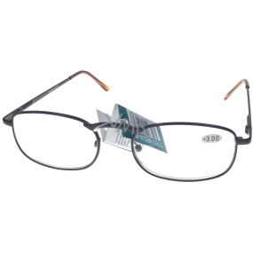 Berkeley Čtecí dioptrické brýle +2,5 hnědé kov 1 kus MC2007