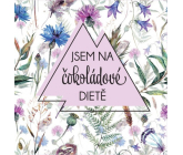 Albi Dárková mléčná čokoláda čtvercová Jsem na čokoládové dietě 75 g