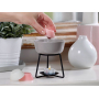 Yankee Candle Fresh Cut Roses - Čerstvě nařezané růže vonný vosk do aromalampy 22 g