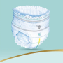 Pampers Premium Care velikost 6, 15+ kg plenkové kalhotky 31 kusů