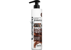 Delia Cosmetics Cameleo šampon pro hnědé vlasy 250 ml