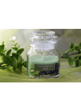Lima Aroma Dreams Černý hrozen a kiwi aromatická svíčka sklenička s víčkem 120 g