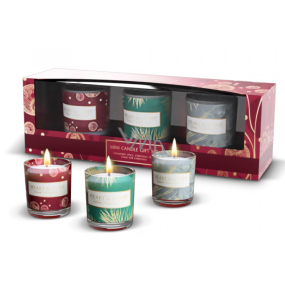 Heart & Home Vánoční stromeček + Zimní pohádka + Brusinkové mámení svíčka sklo 3 x 49 g, dárková sada