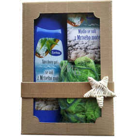 Karima Mrtvé moře sprchový gel se solí z Mrtvého moře 280 ml + toaletní mýdlo se solí z Mrtvého moře 100 g + masážní žínka, kosmetická sada