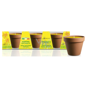 Lady Venezia Citronella svíčka terakota, doba hoření 6 hodin 3 x 50 g