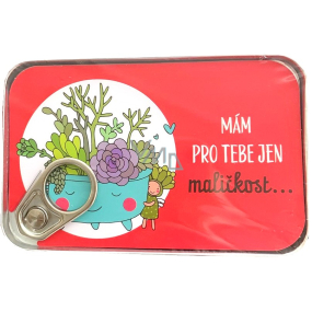 Albi Plechová kapsa na peníze Mám pro tebe jen maličkost... 11 x 7 cm