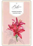 Bohemia Gifts Aromatická vonná karta Červené květiny jemná a čistá vůně 10,5 x 16 cm