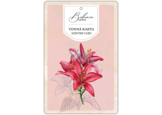 Bohemia Gifts Aromatická vonná karta Červené květiny jemná a čistá vůně 10,5 x 16 cm