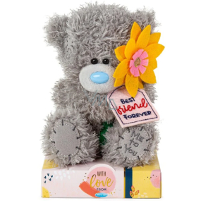 Me To You Medvídek plyšový květina Best Friend Forever 15 cm
