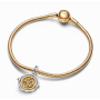 Charm Sterlingové stříbro 925 Fú symbol otočný, přívěsek na náramek