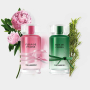Karl Lagerfeld Bois de Cypres toaletní voda pro muže 50 ml
