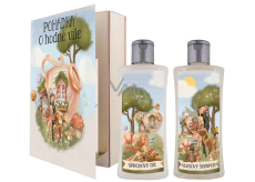 Bohemia Gifts Pohádka o víle sprchový gel 250 ml + šampon na vlasy 250 ml, kniha kosmetická sada pro ženy