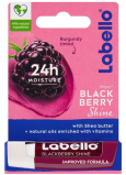 Labello Blackberry balzám na rty tónovací 4,8 g