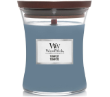 WoodWick Tempest - Bouře vonná svíčka s dřevěným knotem a víčkem sklo střední 275 g