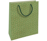 Nekupto Dárková kraftová taška 18,7 x 24,3 x 8 cm Zelená grafika