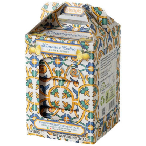Iteritalia Lemon & Citron italské přírodní toaletní mýdlo 3 x 100 g, vánoční dárkový set