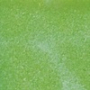 Gabriella Salvete Enamel with Hardener lak na nehty 146 11 ml