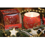 Candles Christmas Moments Apple & Cinnamon vonná svíčka ve skle 100 g