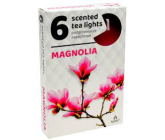 Tea Lights Magnolia vonné čajové svíčky 6 kusů