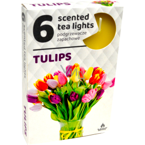 Tea Lights Tulipán vonné čajové svíčky 6 kusů