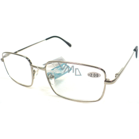 Berkeley Čtecí dioptrické brýle +2,50 stříbrné kov MC2 1 kus ER5050