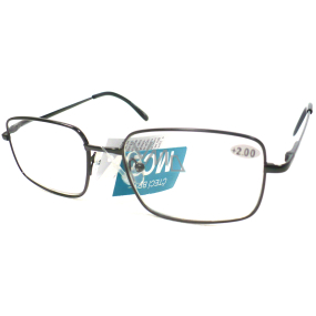 Berkeley Čtecí dioptrické brýle +3,0 černé kov MC2 1 kus ER5050