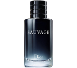 Christian Dior Sauvage toaletní voda pro muže 100 ml