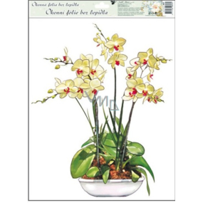 Okenní fólie bez lepidla orchideje žluto-bílá 42 x 30 cm