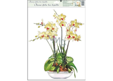 Okenní fólie bez lepidla orchideje žluto-bílá 42 x 30 cm