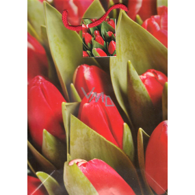 Nekupto Dárková papírová taška 32,5 x 26 x 13 cm Červené tulipány