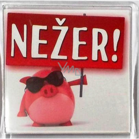 Nekupto Veselé magnetky Nežer! 6 x 6 cm