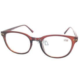 Berkeley Čtecí dioptrické brýle +2 hnědé 1 kus MC2 ER4048