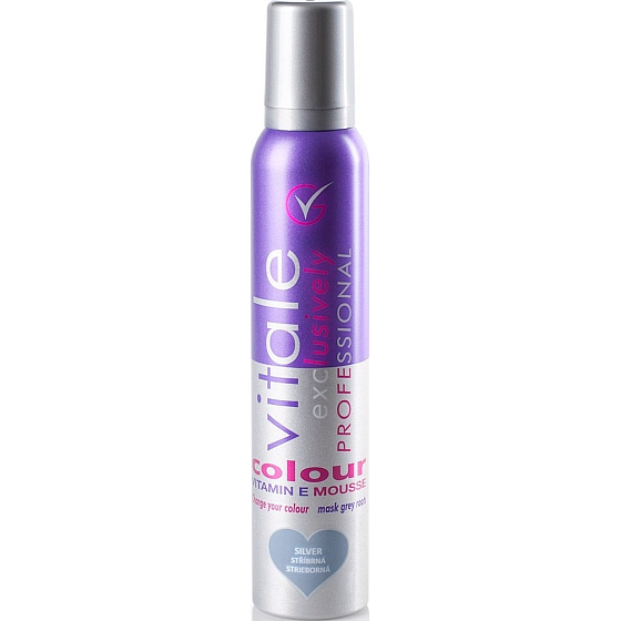 Vitale Exclusively Professional barvící pěnové tužidlo s vitaminem E Silver - Stříbrná 200 ml