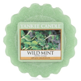 Yankee Candle Wild Mint - Divoká máta vonný vosk do aromalampy 22 g